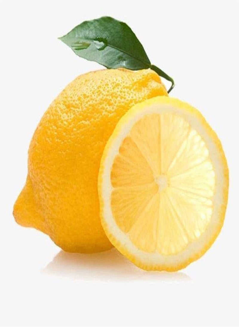 GGOOT 50Pcs Lemon Seeds for Planting Fresh Heirloom Lime Seed White Petals As Indoor Outdoor Garden Decoration Easy to Survive Fruit Trees - Image 2