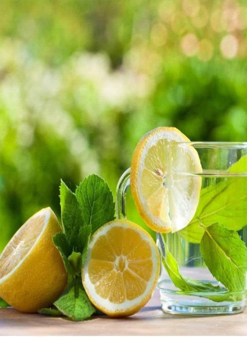 GGOOT 50Pcs Lemon Seeds for Planting Fresh Heirloom Lime Seed White Petals As Indoor Outdoor Garden Decoration Easy to Survive Fruit Trees - Image 3