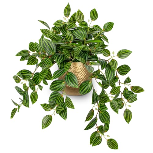 Briful Faux Plants Indoor 177in Fake Watermelon Peperomia Plant in Gold Pot with Realistic Silk Green Leaves Artificial Potted Plant for Home Office Table Shelf Desk Modern Room Decor - Image 1