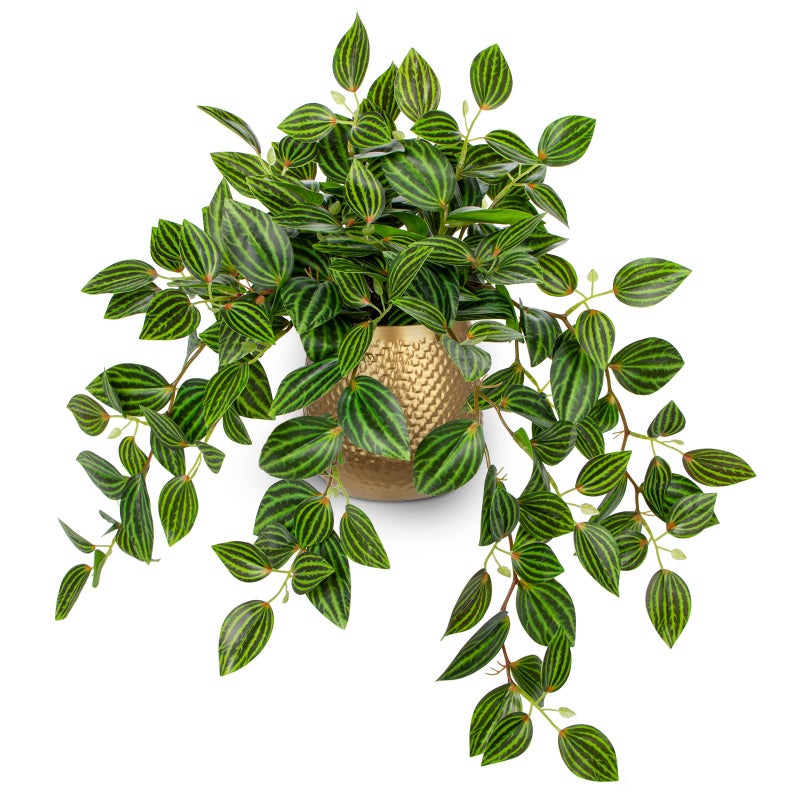 Briful Faux Plants Indoor 177in Fake Watermelon Peperomia Plant in Gold Pot with Realistic Silk Green Leaves Artificial Potted Plant for Home Office Table Shelf Desk Modern Room Decor - Image 2
