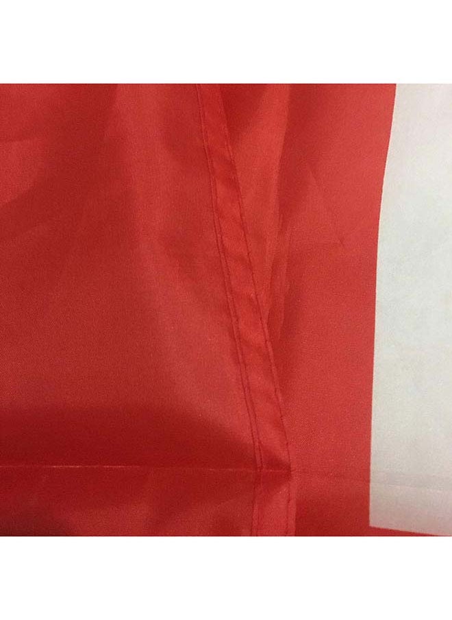 THE BABA - Switzerland Swiss Flag 2'X3' (60X90Cm) For Euro 2024 - Good Quality - Indoor And Outdoor Use - Image 1