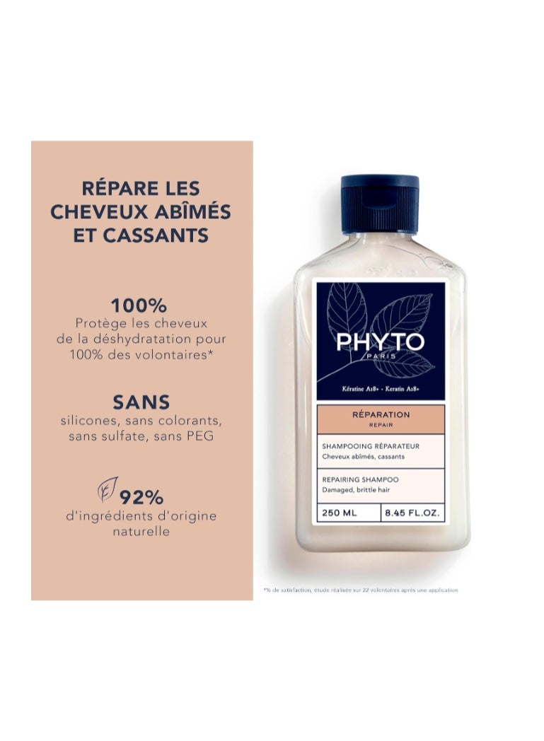 Phyto Paris Repair Repairing Shampoo 250ml – Strengthens & Restores Damaged Hair - Image 3