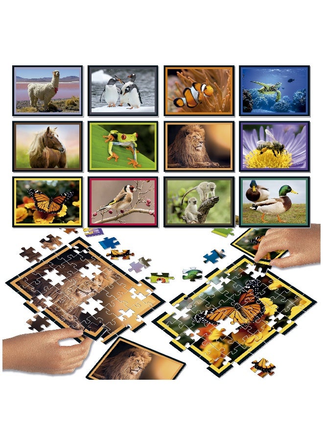 EDUCA Puzzle Battle Natura 12 x 42 pieces puzzles An authentic battle of pieces | Be the first to complete your puzzle to become the winner. Ages 7+ (20119) - Image 2
