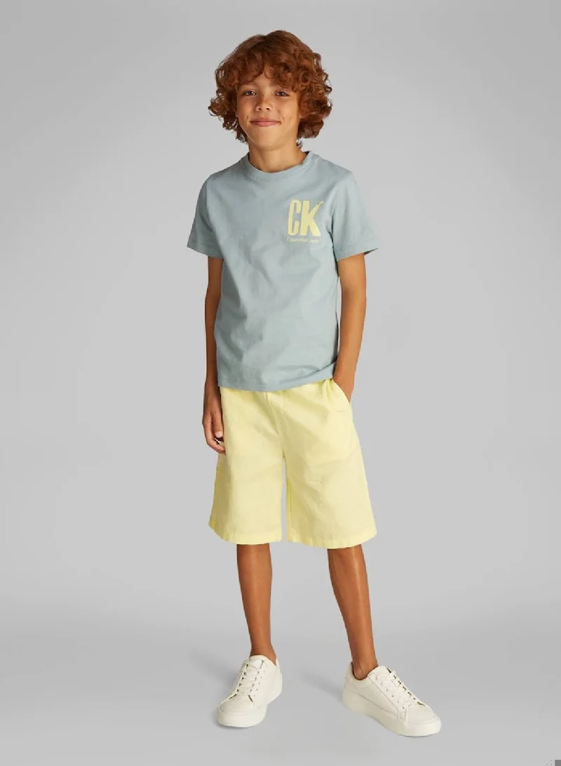Calvin Klein Jeans Boys' Logo T-Shirt - Cotton, Green