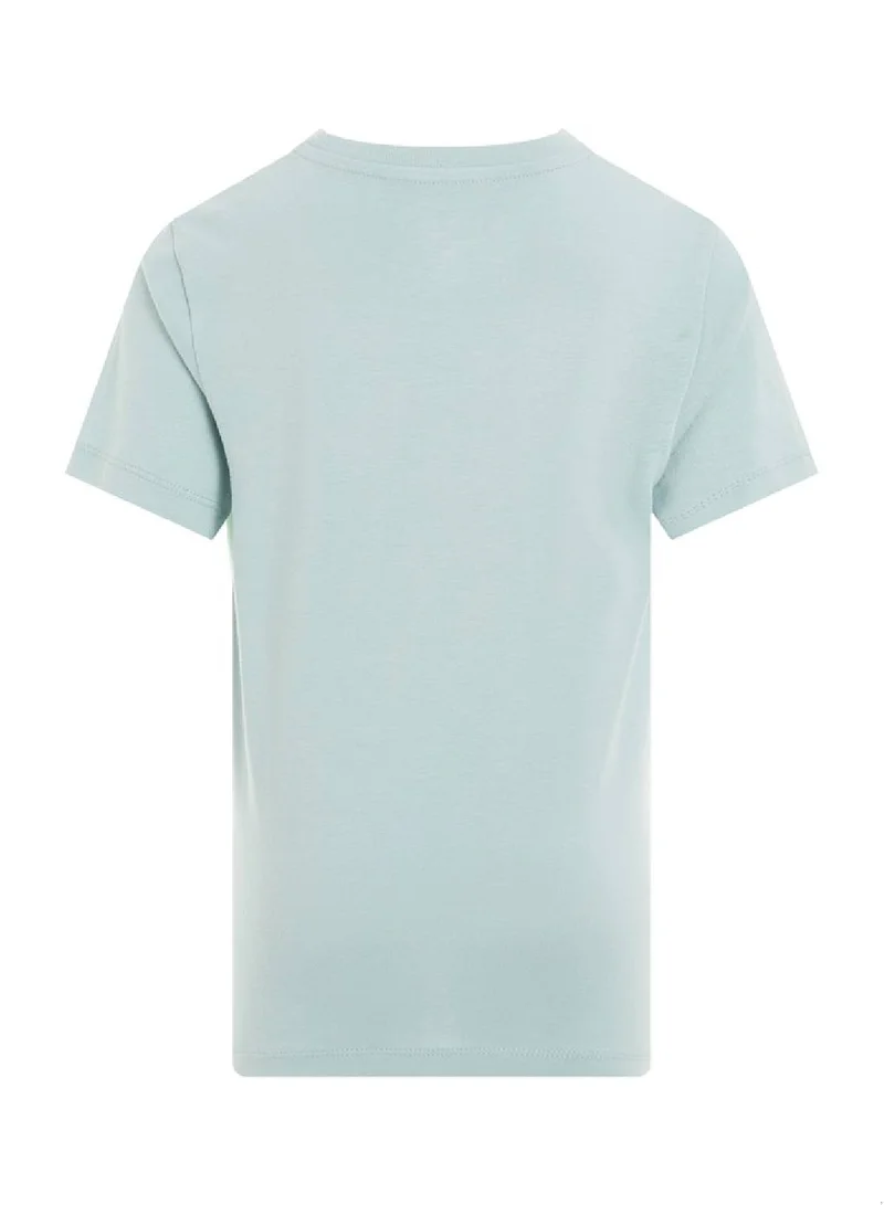 Calvin Klein Jeans Boys' Logo T-Shirt - Cotton, Green