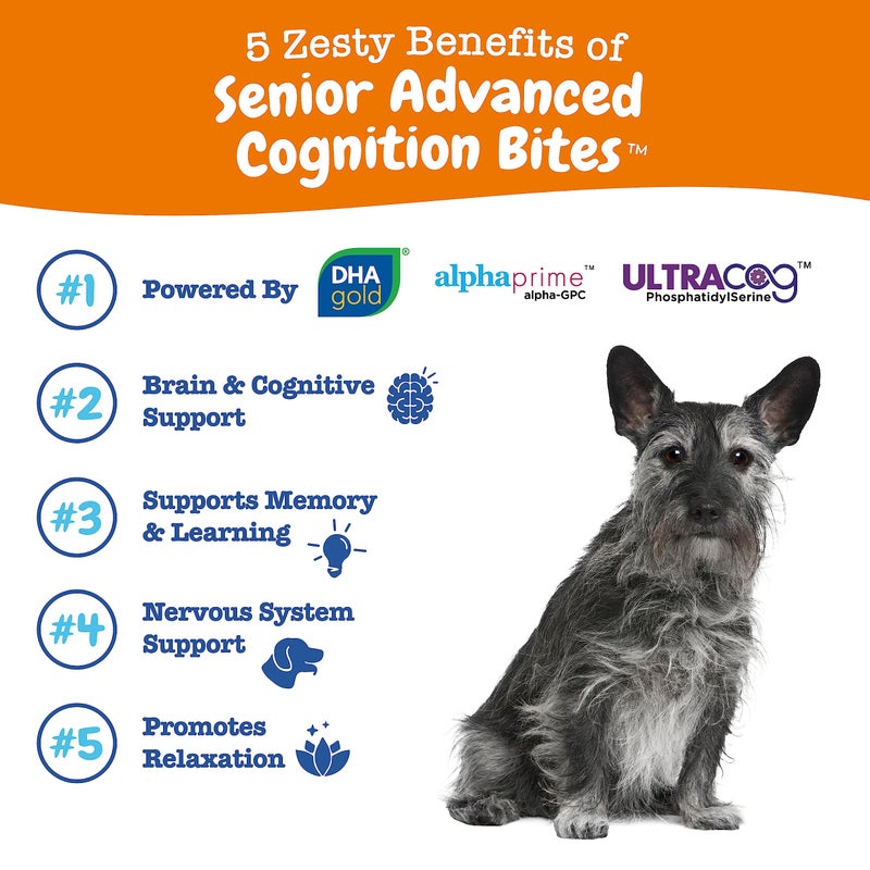 Zesty Paws Advanced Cognition Soft Chews for Dogs - with Omega 3 DHA, Ashwagandha & Alpha GPC - for Senior Dog Brain Health & Nervous System Support - Supplement for Calming & Relaxation - 90 Count - Image 2