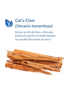 Cat'S Claw Inner Bark Extract Immune Support 60 Vegetarian Capsules - pzsku/ZDA4405FDFD51A8047832Z/45/_/1695133972/d6bae4ce-d125-46e3-a19a-a296758b0dfe