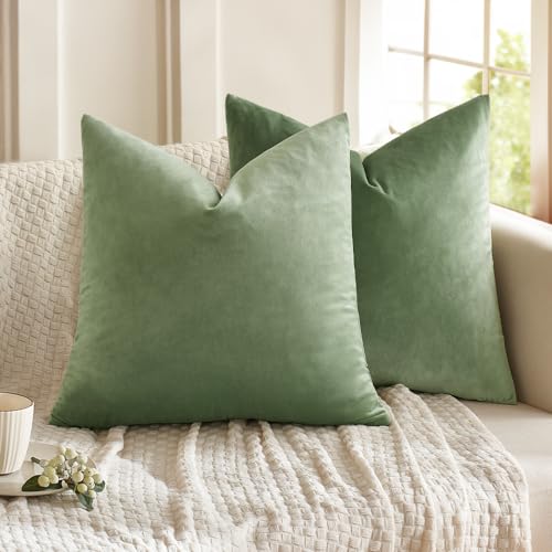 MIULEE Pack of 2 Sage Green Pillow Covers 18x18 Inch Decorative Velvet Throw Pillow Covers Modern Soft Couch Throw Pillows Farmhouse Home Decor for Spring Sofa Bedroom Living Room - Image 1