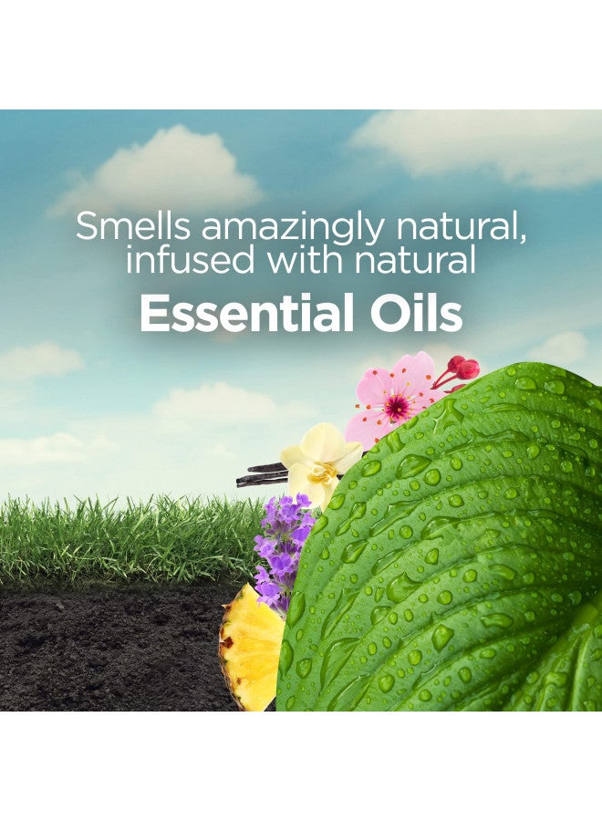 Air Wick Botanica by Air Wick Plug in Scented Oil Refill, 10ct, Caribbean Sweetgrass and Sandalwood, Air Freshener, Eco Friendly, Essential Oils - Image 2