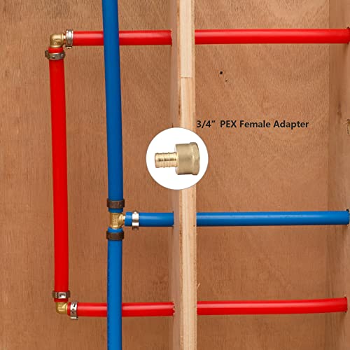 GUOFIS (Pack of 10) PEX 3/4" x 3/4" NPT Female Threaded Adapter,Brass Pex Crimp Adapters Fitting for PEX Pipes in Plumbing Jobs(PEX1807044) - Image 5