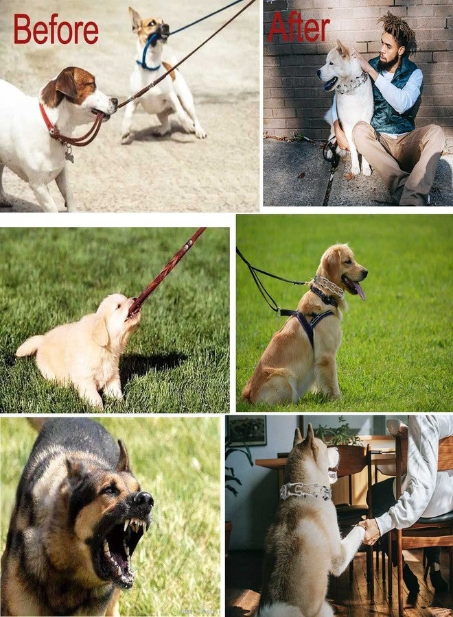 D&C PAWS Prong Collar for Dogs, Pinch Collar for Dogs, Adjustable Dog Training Collar with Quick Release Buckle for Medium & Large Dogs, 24 inch Collar. - Image 3
