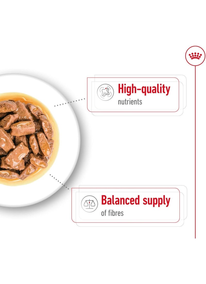 ROYAL CANIN أكياس طعام رطب للكلاب الكبيرة للبالغين ماكسي - Image 3