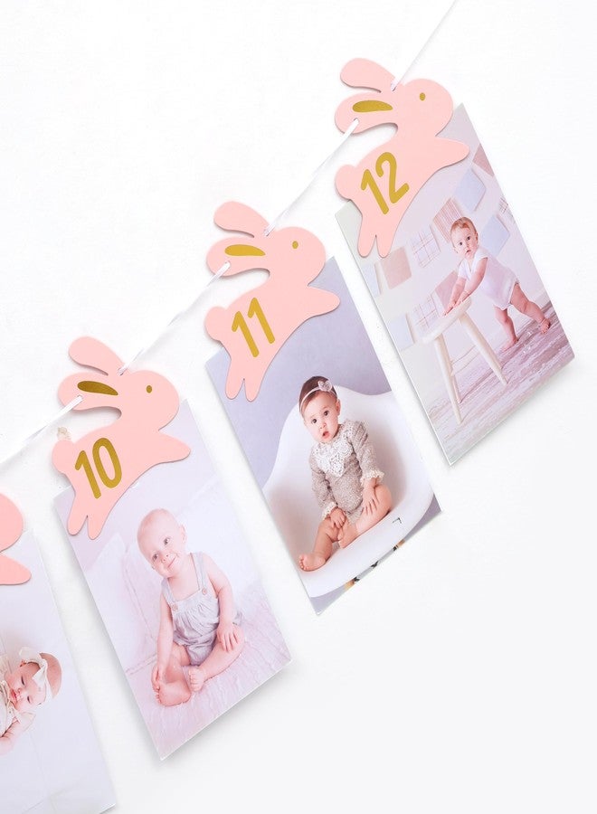 Agkvw Bunny 1st Birthday Monthly Milestone Photo Banner - Some Bunny Is One Newbron to 12 Months Photo Banner for Grils, Easter 1st Birthday Decorations, Rabbit Theme First Year Monthly Photo Display - Image 4