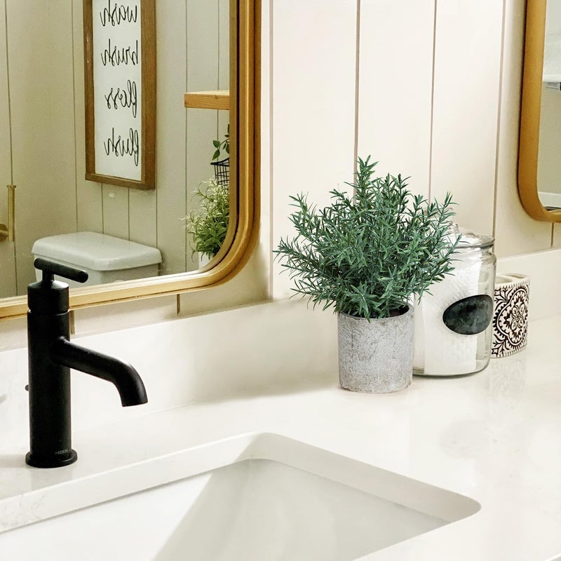 Coferset نباتات روزماري مزيفة صغيرة من كوفيرست - عبوة 2 - Image 3