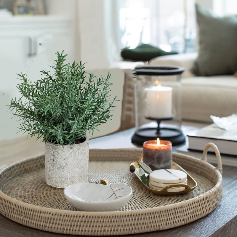 Coferset نباتات روزماري مزيفة صغيرة من كوفيرست - عبوة 2 - Image 2