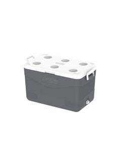 46L KeepCold Picnic Icebox GRAY