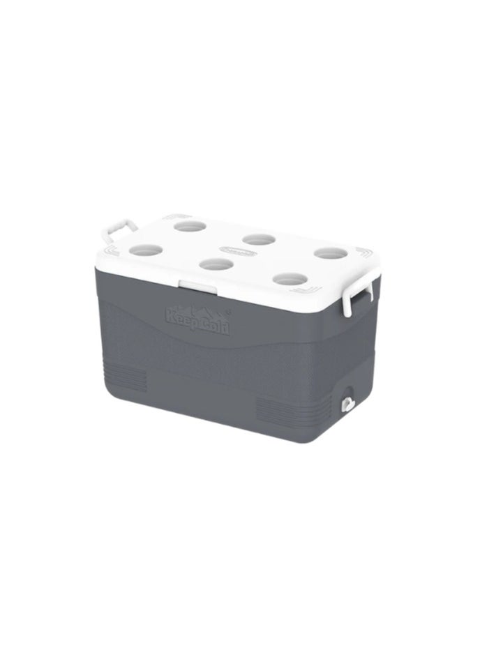 Cosmoplast 46L KeepCold Picnic Icebox GRAY 