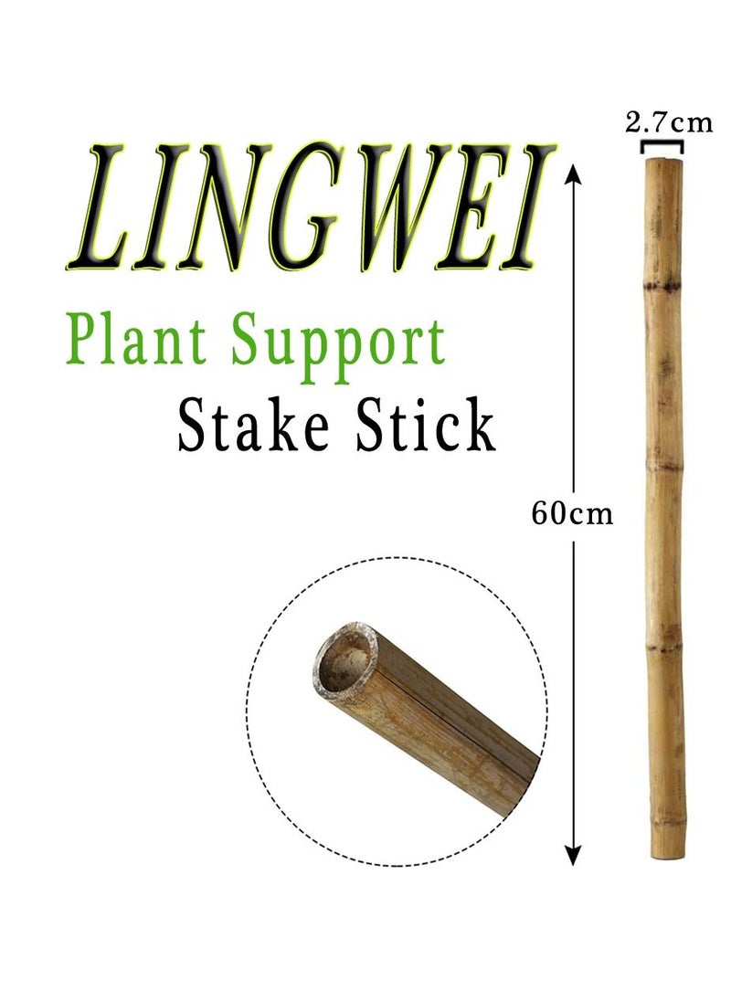LINGWEI - 10 pcs Plant Stakes Natural Garden Bamboo Sticks - Image 1