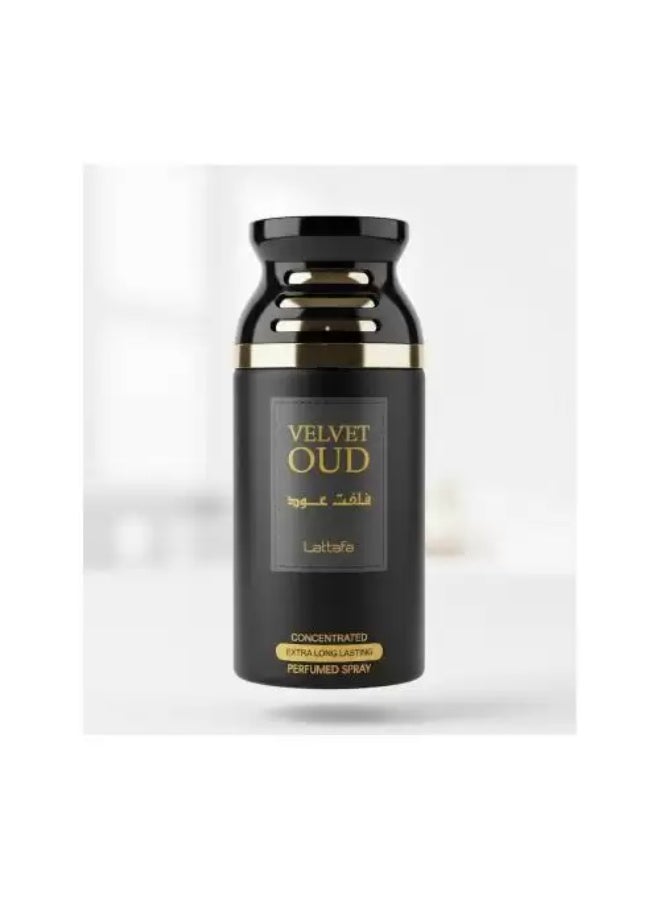 لطافة فلفت عود من لطافة