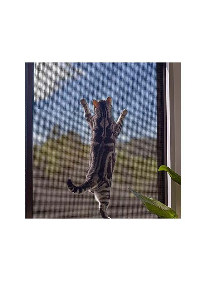 The Bros Window Screen Mesh Insect Mesh Screen Fly Mesh Roll Fly Mosquito Net Window Net Fly Screens Fiberglass Screen Mesh for Windows and Door (122X252CM, Black) - Image 3