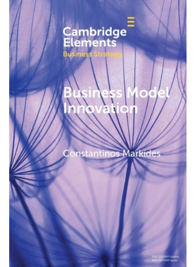 Business Model Innovation Strategic and Organizational Issues for Established Firms - Paperback