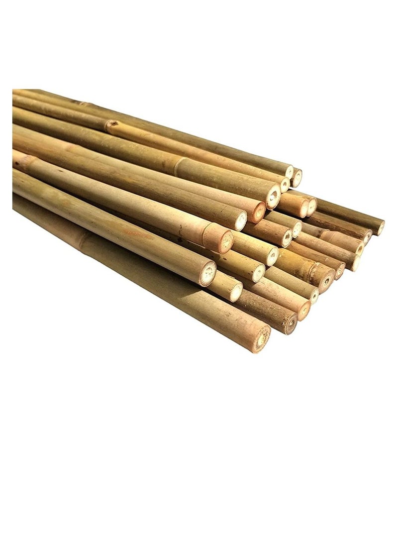 LINGWEI Natural Thick Bamboo Poels (60cm) (100cm) And (120cm)Tall Garden Flowers Plant Support Decor Stakes(60cm 10pcs)  - Image 1