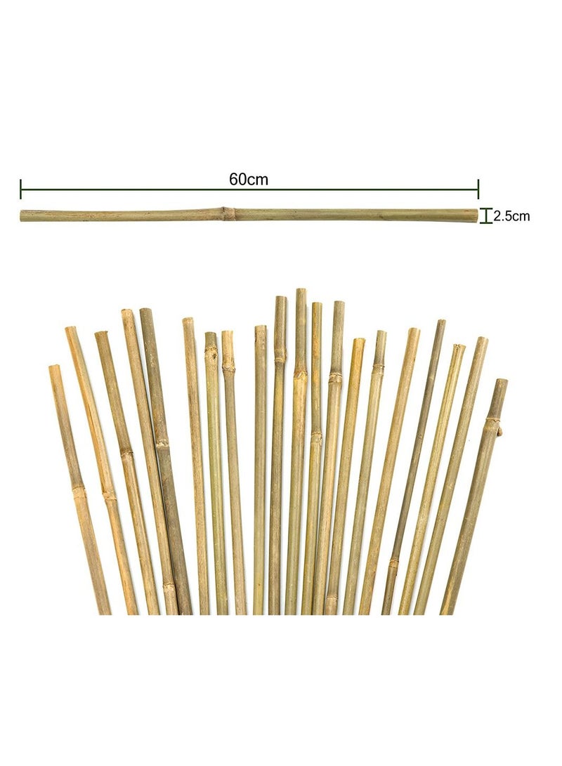 LINGWEI Natural Thick Bamboo Poels (60cm) (100cm) And (120cm)Tall Garden Flowers Plant Support Decor Stakes(60cm 10pcs)  - Image 5