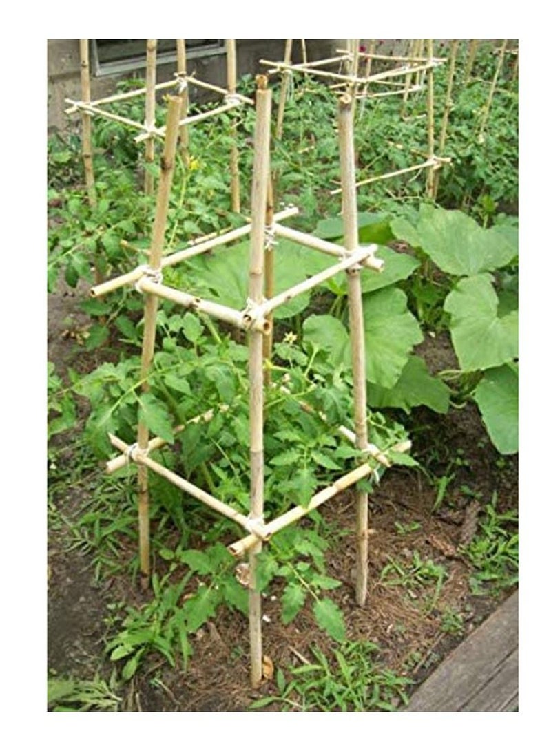LINGWEI Natural Thick Bamboo Poels (60cm) (100cm) And (120cm)Tall Garden Flowers Plant Support Decor Stakes(60cm 10pcs)  - Image 4