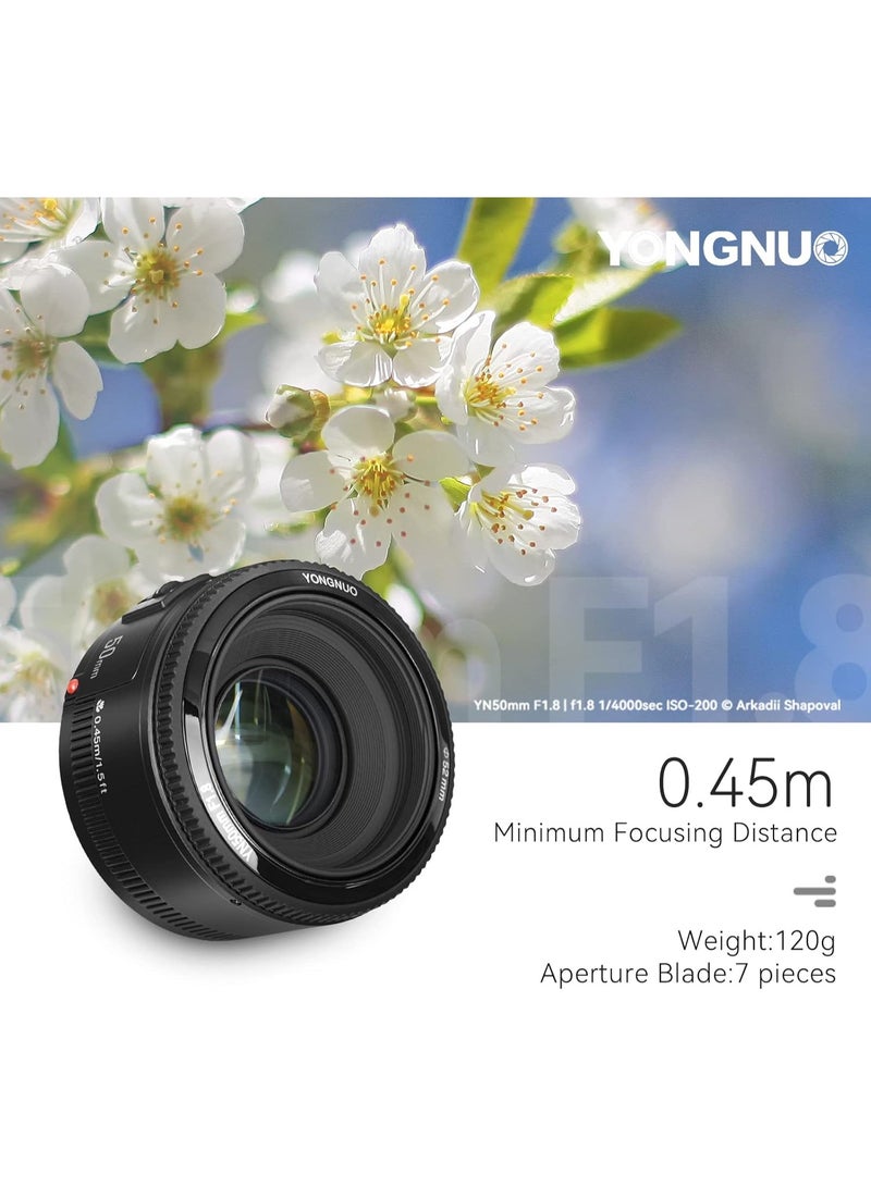 يونجنيو عدسة يونجنو واي ان خمسون ملم اف واحد فاصل ثمانية اوتو فوكس متوافقة مع كاميرات كانون اي او اس بتركيب اي اف بفتحة عدسة واسعة وتصوير بورتريه احترافي - Image 3