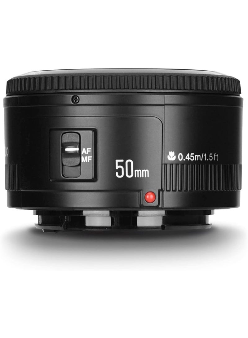 يونجنيو عدسة يونجنو واي ان خمسون ملم اف واحد فاصل ثمانية اوتو فوكس متوافقة مع كاميرات كانون اي او اس بتركيب اي اف بفتحة عدسة واسعة وتصوير بورتريه احترافي - Image 5