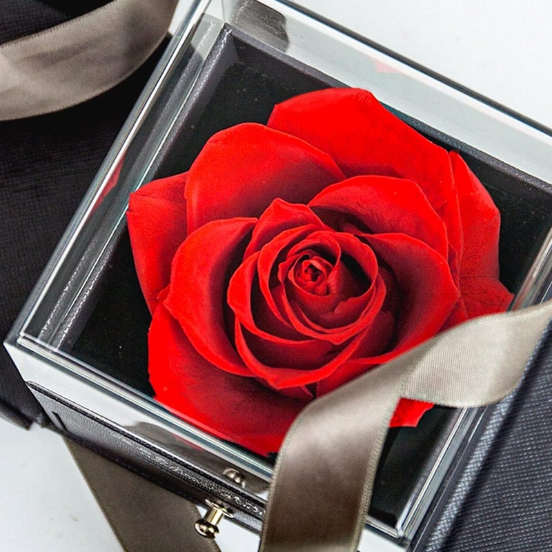 OTIPORTER OTIPORTER Preserved Real Rose Handmade Preserved Rose with I Love You Necklace 100 Languages Artificial Enchanted Real Rose Flower Love Memory Necklace Gifts for Birthday Anniversary Valentines Day  - Image 5