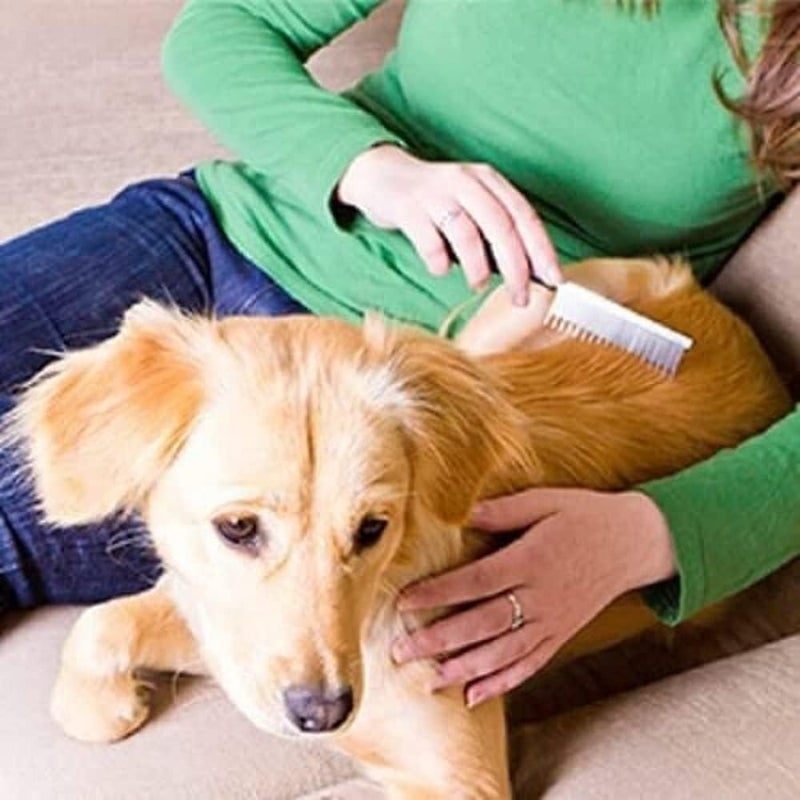 Vet's Best Waterless Dog Bath - No-Rinse Foam Shampoo with Aloe Vera, 150ml - Image 4