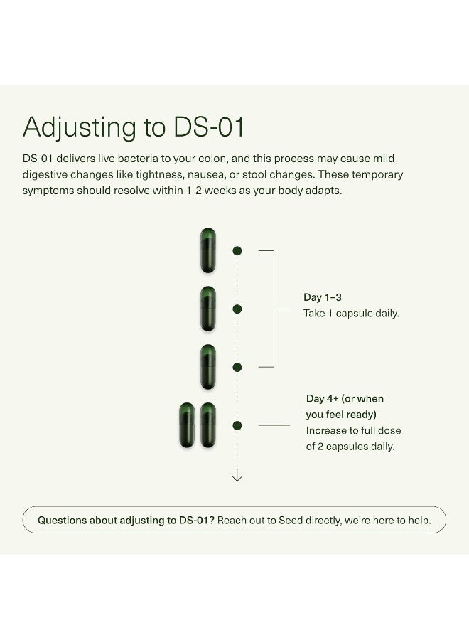 Seed DS-01 سينبيوتيك يومي (60 كبسولة) - 53.6 مليار AFU - صحة الجهاز الهضمي، صحة الأمعاء، وصحة المناعة - بروبيوتيك متعدد السلالات للنساء والرجال - نباتي وثابت على الرف - Image 3