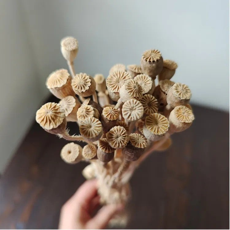 Bluejw Real Dried Gold and Silver Corn Poppy Flowers – 40g Per Bundle, Natural Dried Plants for Home Flower Arrangements, DIY Wedding Decorations & Boho Floral Crafts - Image 5