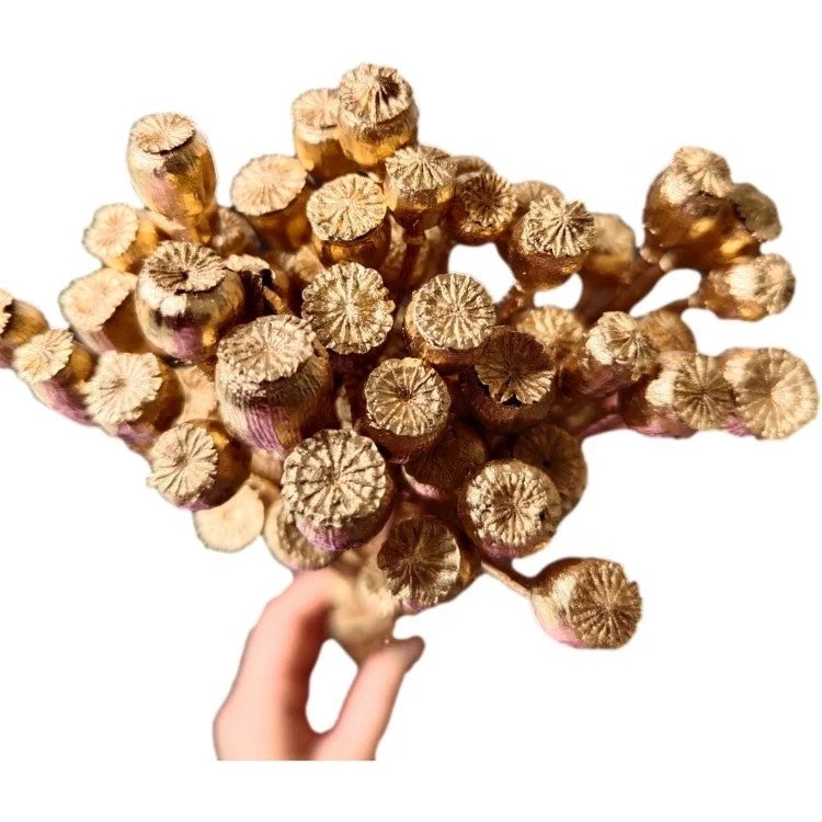 Bluejw Real Dried Gold and Silver Corn Poppy Flowers – 40g Per Bundle, Natural Dried Plants for Home Flower Arrangements, DIY Wedding Decorations & Boho Floral Crafts - Image 2