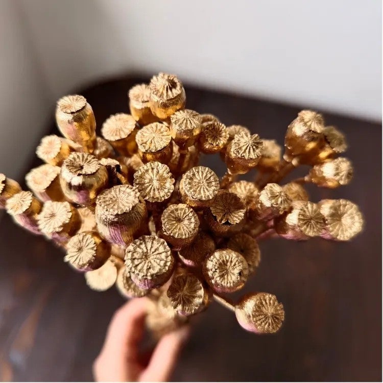Bluejw Real Dried Gold and Silver Corn Poppy Flowers – 40g Per Bundle, Natural Dried Plants for Home Flower Arrangements, DIY Wedding Decorations & Boho Floral Crafts - Image 3