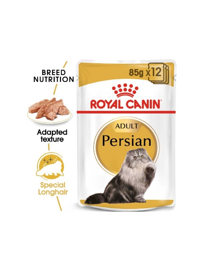 تغذية سلالات القطط الفارسية (طعام رطب - أكياس) 12 × 85 جم