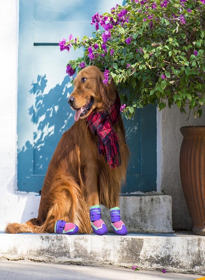 TEWIWAP Dog Shoes for Large Small Medium Dogs, Dog Boots & Paw Protectors Breathable Dog Booties for Outdoor Hiking, Camping, Walking, Hardwood Floors Size 2 - Image 3