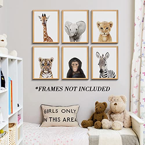 calmart Set of 6 Baby Safari Nursery Wall Decor - Picture Cute Animal Wall Prints on Canvas, under 20 dollars gifts for Baby Boys and Girls Room, UNFRAMED Wall Art(8 x 10 inch) - Image 5