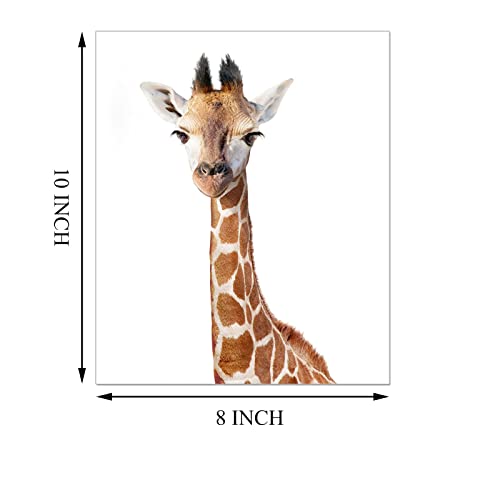 calmart Set of 6 Baby Safari Nursery Wall Decor - Picture Cute Animal Wall Prints on Canvas, under 20 dollars gifts for Baby Boys and Girls Room, UNFRAMED Wall Art(8 x 10 inch) - Image 3
