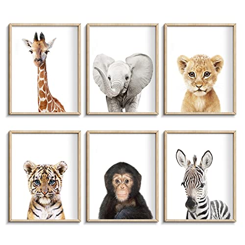 calmart Set of 6 Baby Safari Nursery Wall Decor - Picture Cute Animal Wall Prints on Canvas, under 20 dollars gifts for Baby Boys and Girls Room, UNFRAMED Wall Art(8 x 10 inch) - Image 1