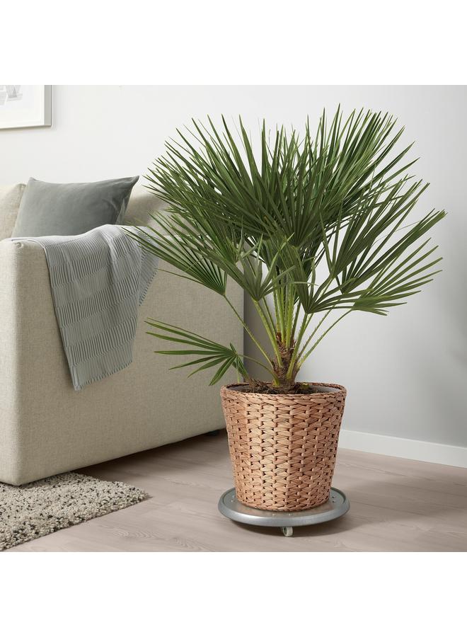 Zaboon Plant pot, water hyacinth, 24 cm - Image 4