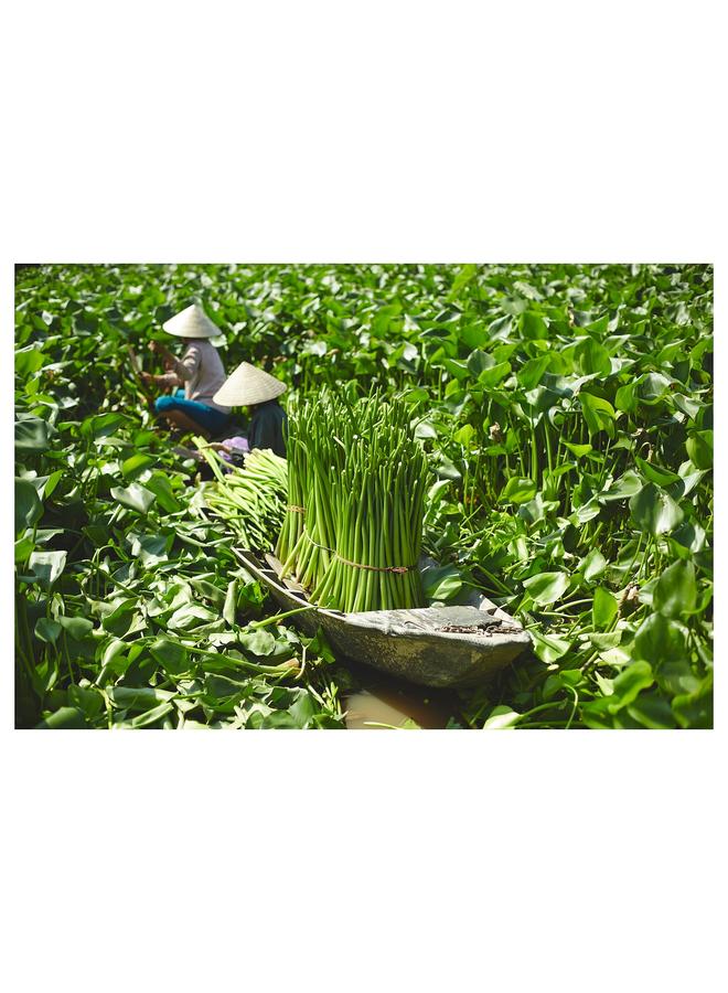 Zaboon Plant pot, water hyacinth, 24 cm - Image 3