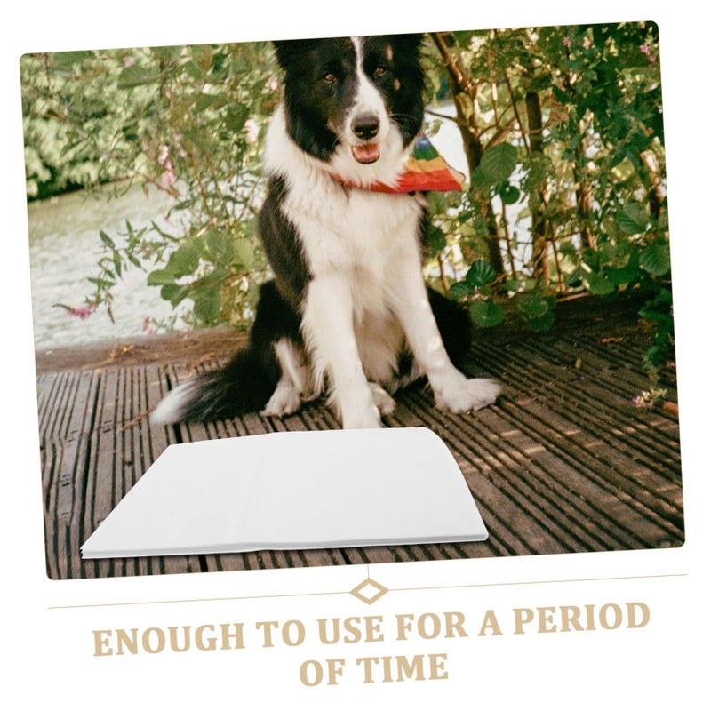 50 Pieces Large Dog Pee Pads Disposable Puppy Training Sheets High Absorbent Pet Urine Pads For Cats And Dogs Skin Friendly Housebreaking - Image 4