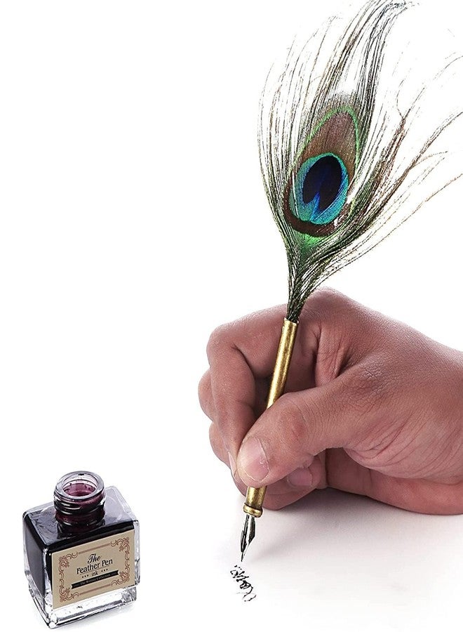 KIRA Retro Style 0.5mm Fine Nib Feather Quill Dip Pen Set - Image 4
