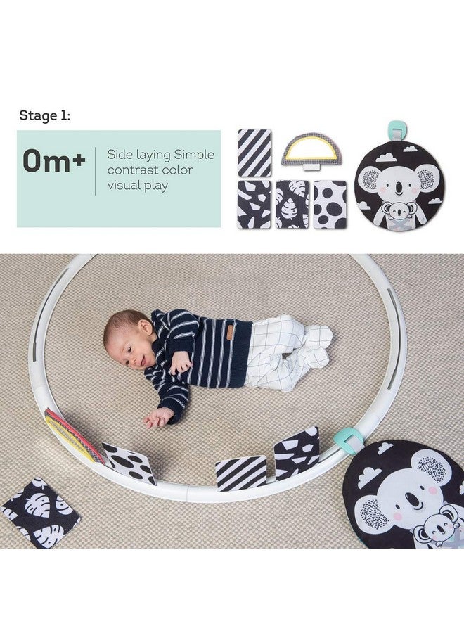 Taf Toys Taf Toys All Around Me Activity Hoop | Developmental Hoop, Prefect for Newborns and up, with 24 Developmental Activities. Designed to Promote Baby’s Senses, Motor Skills and Cognitive Development - Image 3