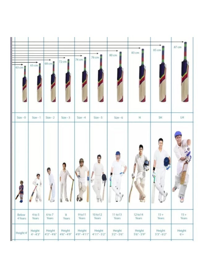 MRF Prodigy Kashmir Willow Cricket Bat – Size 1 - Image 5
