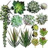 Supla Pack of 14 Assorted Artificial Succulents Picks Textured Aloe Faux Succulent Pick Succulent Stems Fake Succulent - Image 1