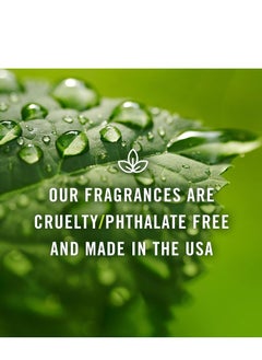P&J Trading P&J Trading Fresh Cotton Scented Oil 30ml Fragrance Oil for Candle Making Soap Making Diffuser Oil  - Image 4
