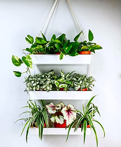 LáLáGreen LaLaGreen Hanging Wall Planter - 16 Inch Three Tier Plant Hanger for Succulent Indoor Herb Planter Modern White Boho Metal Wall Plant Holder Decor, Vertical Garden Hanging Planter Shelf Large Outdoor - Image 1
